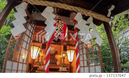 東京、幻想的にライトアップされた神社の稲荷社 東京、幻想的にライトアップされた神社の稲荷社 137137047