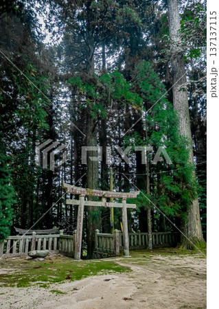 山口・岩国・宇佐八幡宮 山口・岩国・宇佐八幡宮 137137115