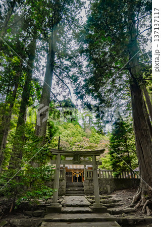 山口・岩国・宇佐八幡宮 山口・岩国・宇佐八幡宮 137137117