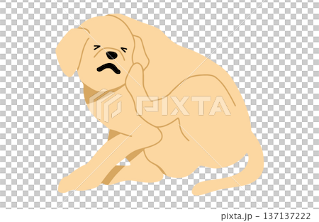 Dog hand-drawn illustration itchy 137137222