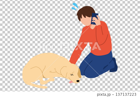 犬　手書きイラスト　電話で相談 137137223