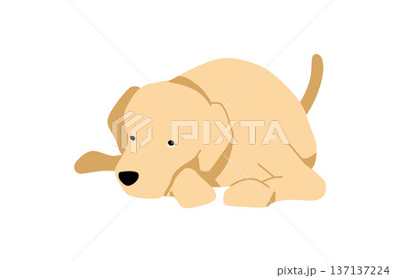 犬　手書きイラスト　上目遣い 137137224