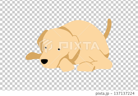 犬　手書きイラスト　上目遣い 137137224