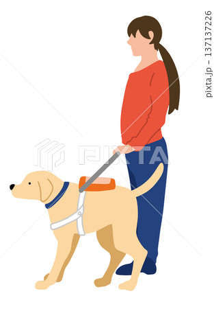 盲導犬　手書きイラスト 137137226