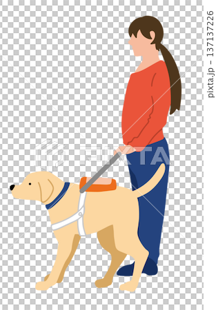 盲導犬　手書きイラスト 137137226