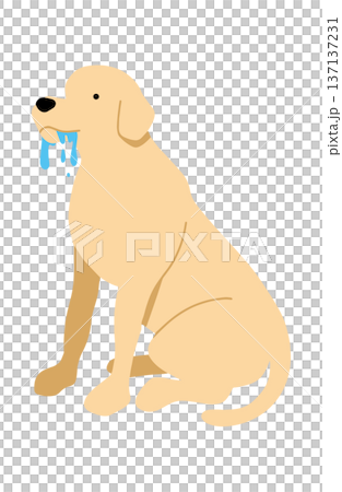 Dog hand-drawn illustration drool Dog hand-drawn illustration drool 137137231