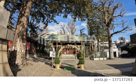 東京、下神明天祖神社 拝殿 正面 鮮やかな青空 東京、下神明天祖神社 拝殿 正面 鮮やかな青空 137137263