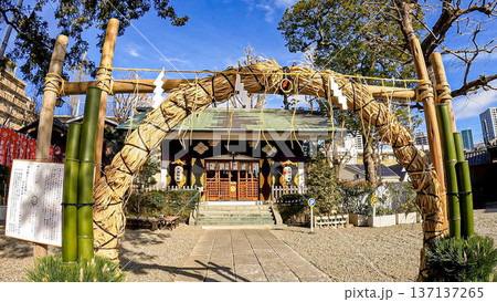 東京、下神明天祖神社の茅の輪くぐりと新春の境内 東京、下神明天祖神社の茅の輪くぐりと新春の境内 137137265