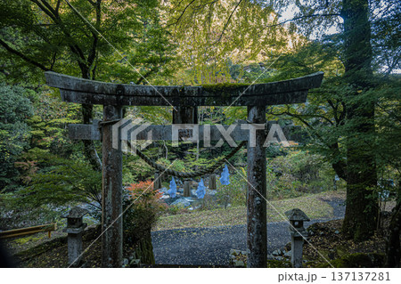 山口・岩国・香椎神社 山口・岩国・香椎神社 137137281