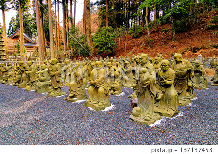 雲辺寺の五百羅漢 137137453