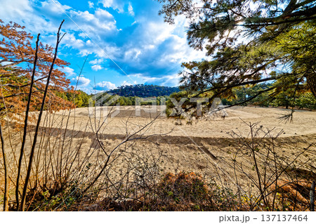 銭形砂絵 137137464