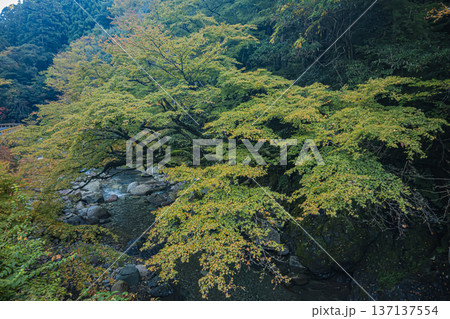 山口・岩国・木谷峡 山口・岩国・木谷峡 137137554