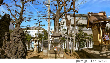 東京、住宅街に鎮座する小さな原の水神と石祠 137137670