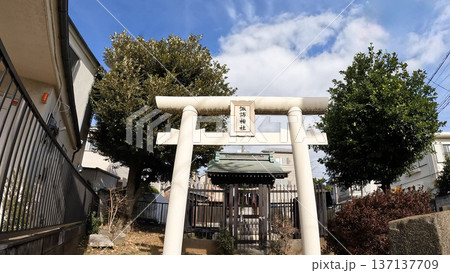 東京、住宅街に佇む馬込諏訪神社の白い鳥居と青空 137137709