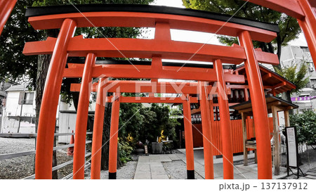 東京、蛇窪神社の白蛇辨財天と鮮やかな赤い鳥居 137137912