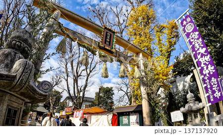 東京、金運のパワースポット 蛇窪神社の入り口 東京、金運のパワースポット 蛇窪神社の入り口 137137920