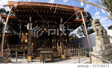 品川区 小山八幡神社の本殿と狛犬 品川区 小山八幡神社の本殿と狛犬 137138171