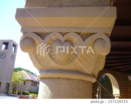 STANFORD UNIVERCITY 137139153