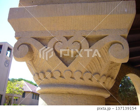 STANFORD UNIVERCITY 137139154