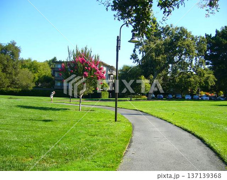 PALO ALTO 137139368