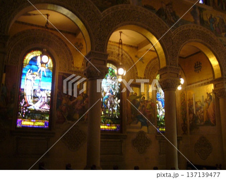 STANFORD UNIVERCITY 137139477