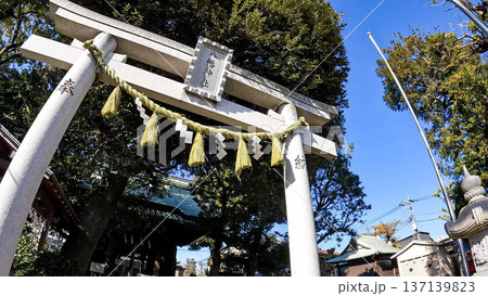 久が原東部八幡神社の鳥居と青空（大田区） 137139823