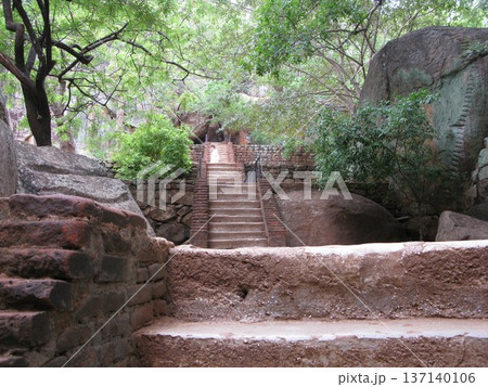 スリランカ　シーギリアロック 137140106