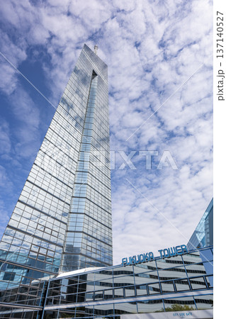 福岡のシンボル福岡タワー 福岡のシンボル福岡タワー 137140527
