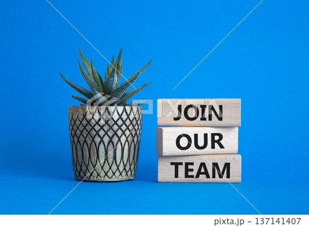 Join our team symbol. Wooden blocks with words Join our team. Beautiful blue background with succulent plant. Business and Join our team concept. Copy space. 137141407