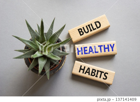 Healthy habits symbol. Concept word Build Healthy habits on wooden blocks with succulent. Beautiful grey background. Healthy lifestyle and Healthy habits concept. Copy space Healthy habits symbol. Concept word Build Healthy habits on wooden blocks with succulent. Beautiful grey background. Healthy lifestyle and Healthy habits concept. Copy space 137141409