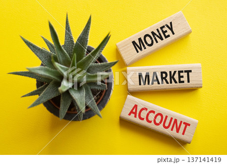 Money Market Account symbol. Wooden blocks with words Money Market Account. Beautiful yellow background with succulent plant. Business concept. Copy space. 137141419