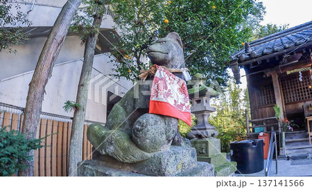歴史ある元宿堰稲荷神社の狛狐と赤い前掛け 歴史ある元宿堰稲荷神社の狛狐と赤い前掛け 137141566