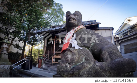 歴史ある元宿堰稲荷神社の狛狐と赤い前掛け 137141567