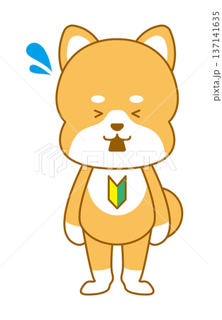 柴犬 デフォルメイラスト 初心者マーク 混乱 柴犬 デフォルメイラスト 初心者マーク 混乱 137141635