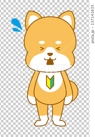 柴犬 デフォルメイラスト 初心者マーク 混乱 柴犬 デフォルメイラスト 初心者マーク 混乱 137141635