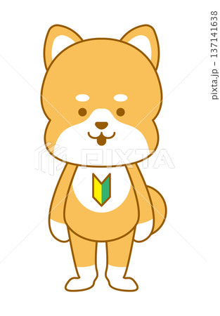 柴犬　デフォルメイラスト　初心者マーク 137141638