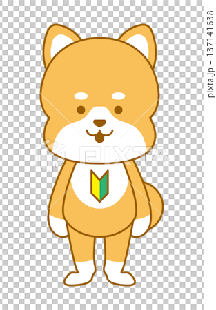 柴犬　デフォルメイラスト　初心者マーク 137141638