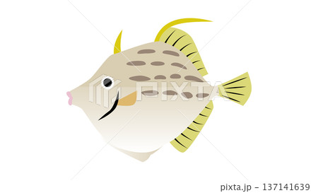 シンプルでかわいい鮍（カワハギ）のイラスト　食べ物・魚のベクター素材 137141639
