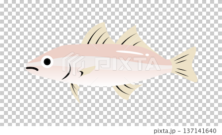 簡單可愛的比目魚（kisu）插圖，食物和魚類向量素材 137141640