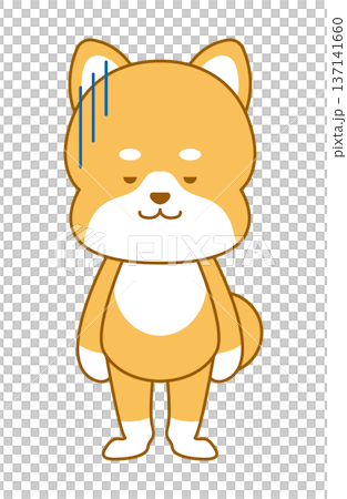 柴犬變形插圖令人失望 柴犬變形插圖令人失望 137141660