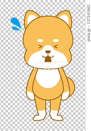 柴犬畸形插圖混亂 137141662