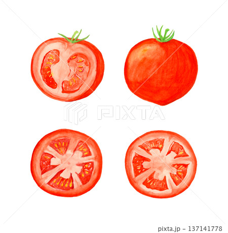 手描き水彩のトマトセット（丸ごと・半分カット・スライス2枚）白背景イラスト素材 137141778