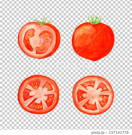 手描き水彩のトマトセット（丸ごと・半分カット・スライス2枚）白背景イラスト素材 137141778