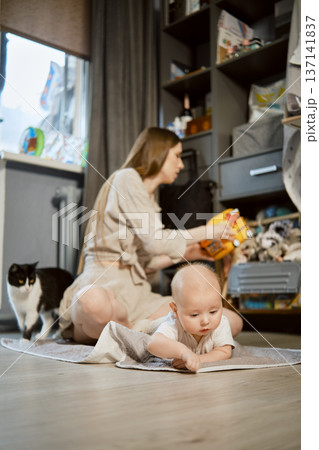 Mother organizes baby's toys while cat observes in a living room during the afternoon Mother organizes baby's toys while cat observes in a living room during the afternoon 137141837