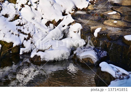 荏沢川の石積堰堤で見られる雪の芸術品 荏沢川の石積堰堤で見られる雪の芸術品 137141851
