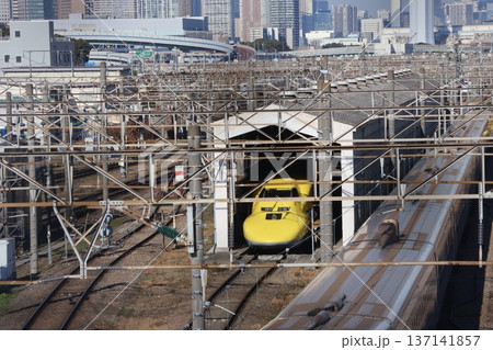 JR東海 大井車両基地に留置中のドクターイエロー 137141857