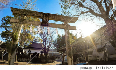 千住氷川神社の鳥居と拝殿に差し込む冬の光 千住氷川神社の鳥居と拝殿に差し込む冬の光 137141927
