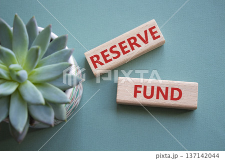 Reserve Fund symbol. Concept word Reserve Fund on wooden blocks. Beautiful grey green background with succulent plant. Business and Reserve Fund concept. Copy space Reserve Fund symbol. Concept word Reserve Fund on wooden blocks. Beautiful grey green background with succulent plant. Business and Reserve Fund concept. Copy space 137142044
