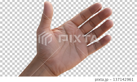 Human hand with palm open, showing detailed lines and textures of skin. 137142961