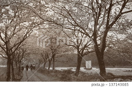 古写真　1926年　東京　江戸川沿いの桜 137143085